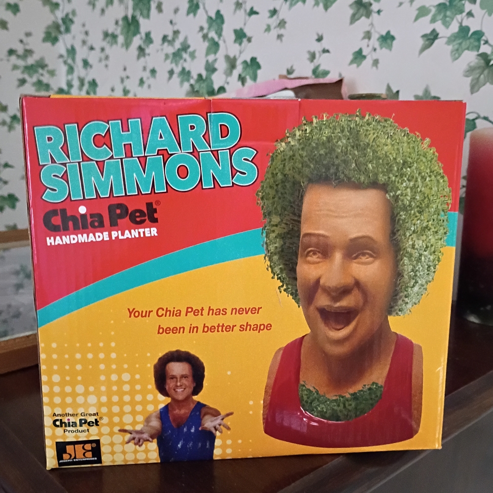 Richard Simmons Chia Pet Planter